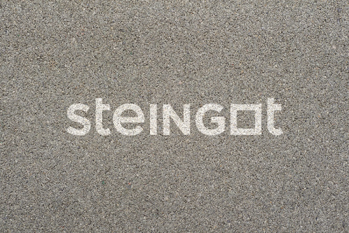 ���������� ������ Steingot �������� ����� ��������� �������